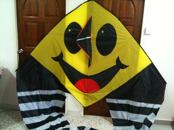 Buy Kites in Singapore Kites Giant Part 1