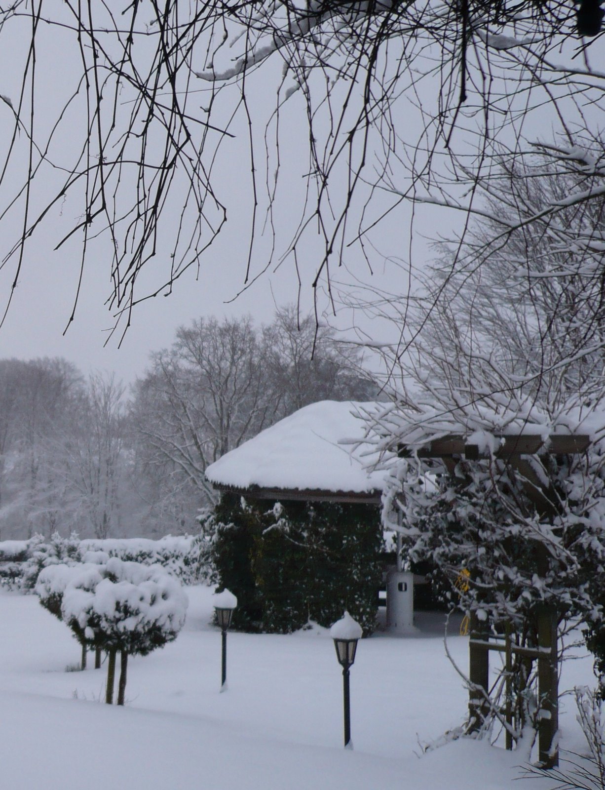 [winterOne.jpg]