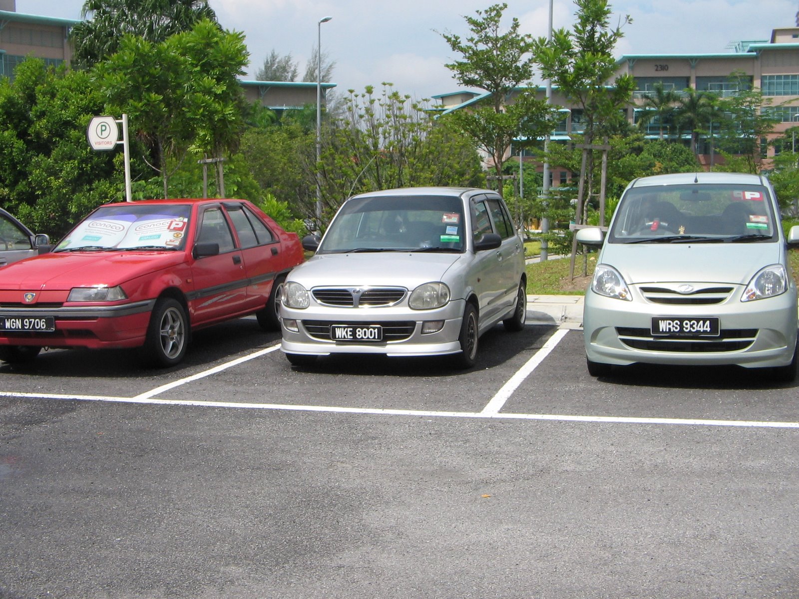 [IMG_3252.JPG]