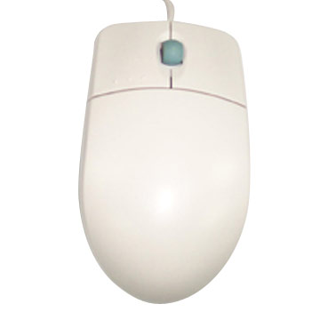 [Computer_Mouse.jpg]