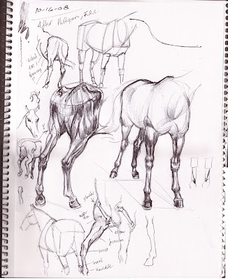 I learned to appreciate artists who can really draw horses when I worked 