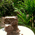 Chocolate Brownies with Choco Chip