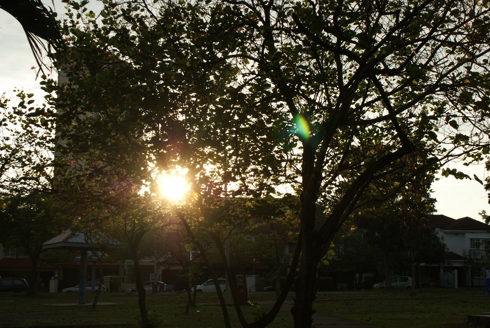 [DSC03532.JPG]