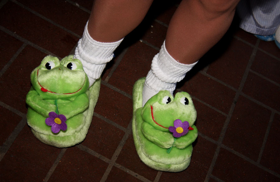 [Kermit-slippers.jpg]