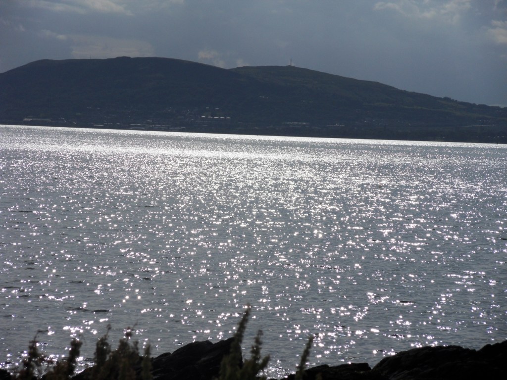 [SDC11426.JPG]