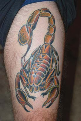 Zodiac tatoo - Scorpion Tattoo Designs-A Stimulating Sensation
