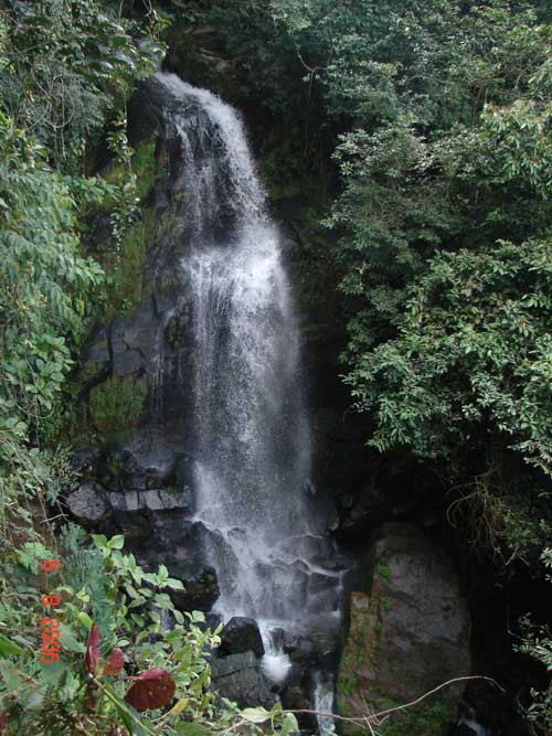 [img_2acf3c3b879e78916a8d1d865beae046.jpg]