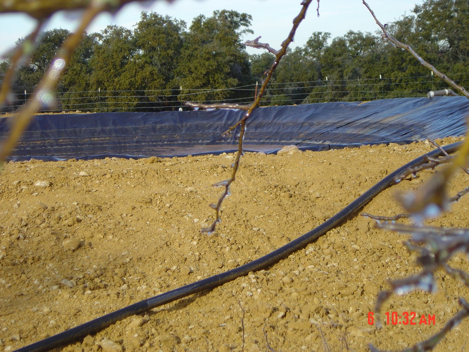 [1-6-09+004.JPG]