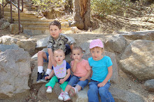 The cousins