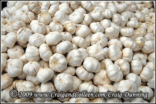 [garlic-500.jpg]