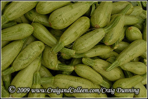 [zucchini-20090427-01-500.jpg]