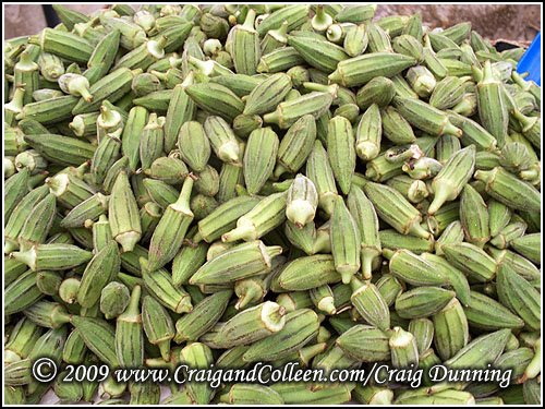 [okra-jerusalem-20090722-500.jpg]