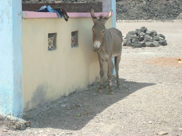 [DSC00528.JPG]