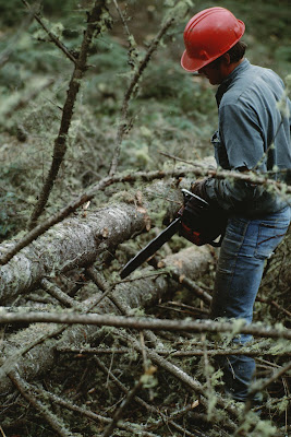 two logging companies from