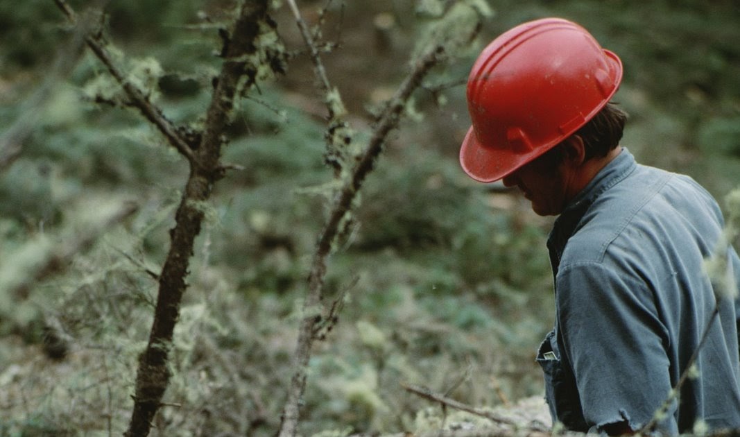 Oregon Workforce and Economic Information The Ax Men Jobs in Oregon’s