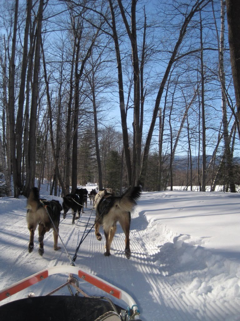 [View+from+the+Dogsled.jpg]