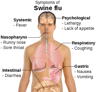swineflu2