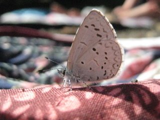 [IMG_2826.JPG]