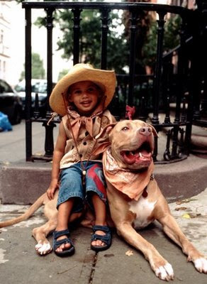 farmer boys pitbulls