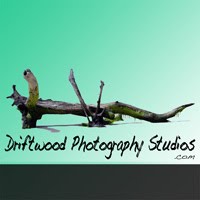 Driftwood Photography Studios