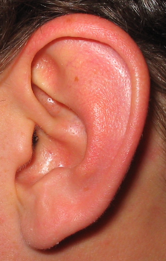 Ear Man
