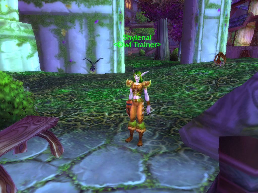 Shadows Wow Guide Darnassus Companion Pet Owls