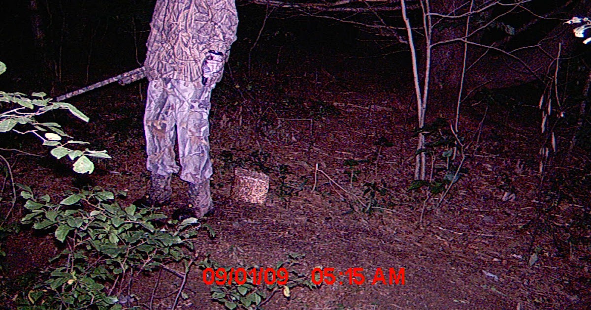 Highly Inappropriate Game Camera Pics