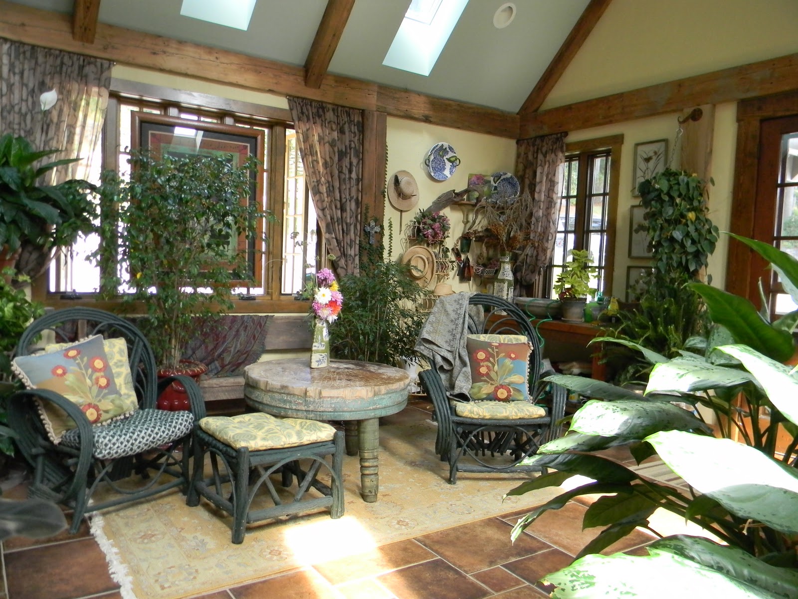 sunroom plants