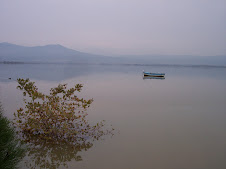 Kerkini Lake