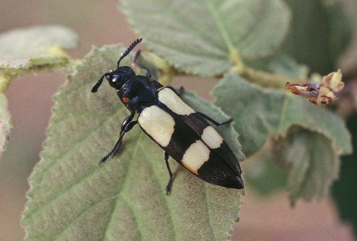 [420987-R3-E011_011_2.jpg]