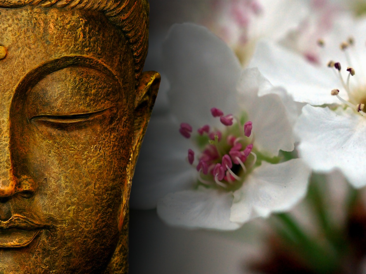 http://4.bp.blogspot.com/_9YRwjzlbruM/TSOoE9yFQNI/AAAAAAAAC1c/bG094e-2GO8/s1600/zen%20wallpaper%20resimler.jpg