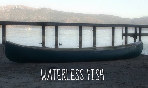waterless fish... may your time be filled with relaxing sunsets. cool drinks and sand between your
