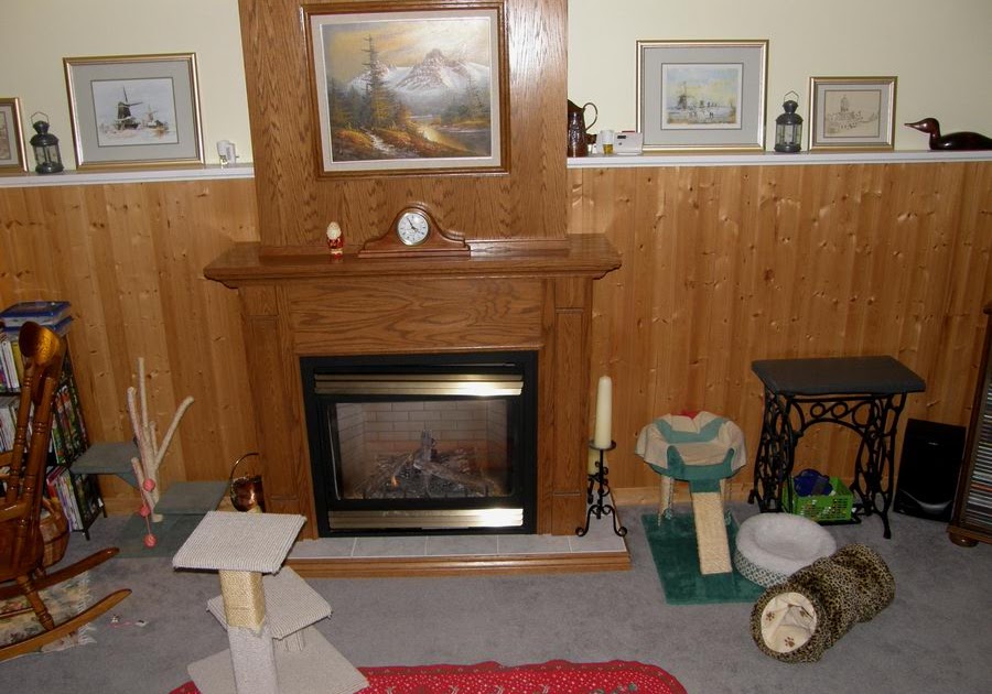 CanadianGardenJoy Are we owned by cats or salt rock lamps