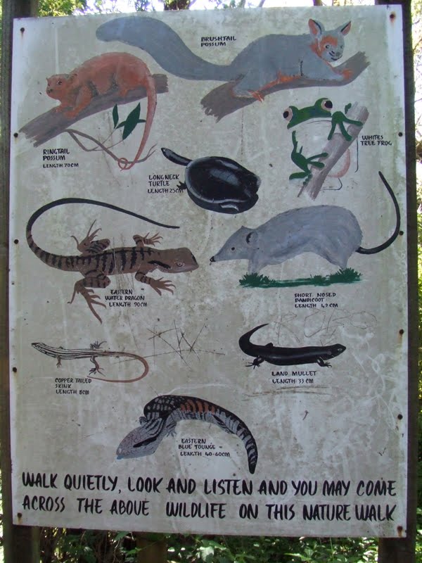 The flora of Australia is