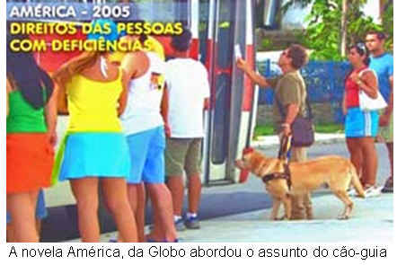 [caoguia4.jpg]