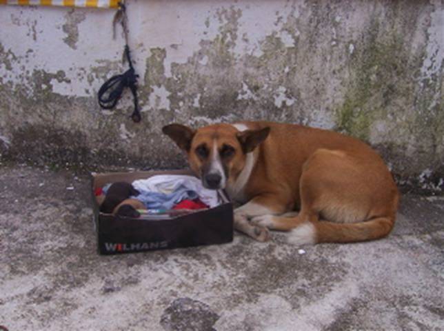 [image003.jpg]