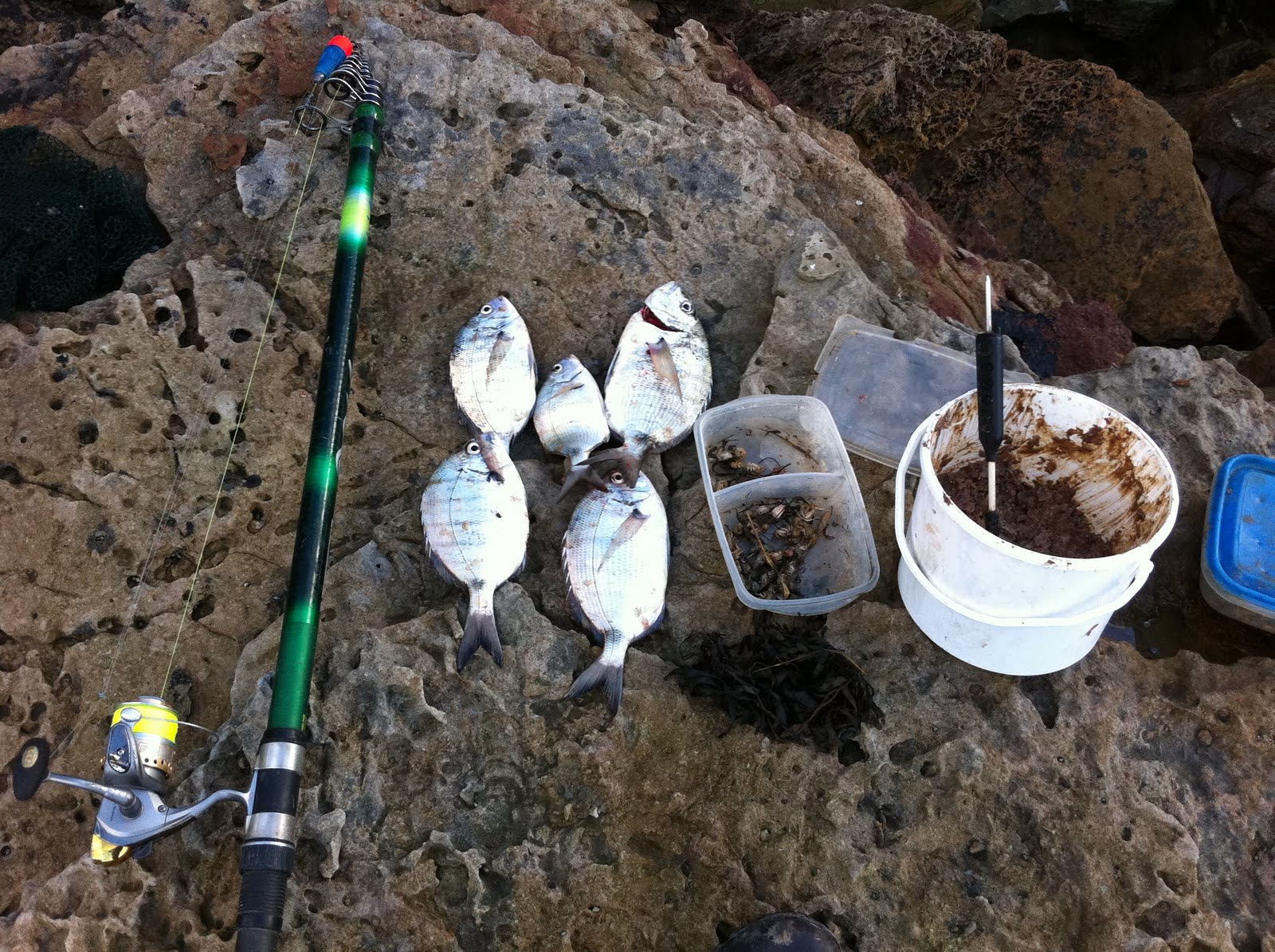 Pescando por Cantabria: enero 2011