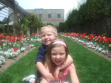 May 2009