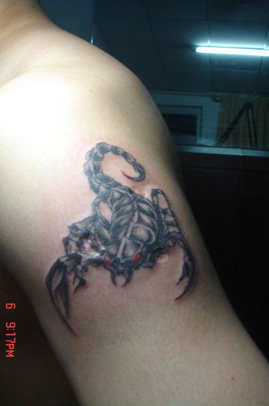 Labels: Scorpion 3D Tattoo Gallery