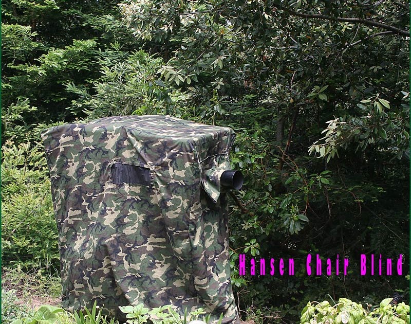 Chris the Photog AKA DIY Cheapo Depot DIY Chair Blind