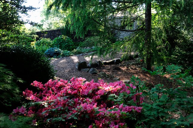 viburnum mature dating site Thrift savings plan 1 2 3 home site help what's new forms & publications contact tsp follow us: you are not logged in: tsp account number. viburnum mature dating site Thrift savings plan 1 2 3 home site help what's new forms & publications contact tsp follow us: you are not logged in: tsp account number.