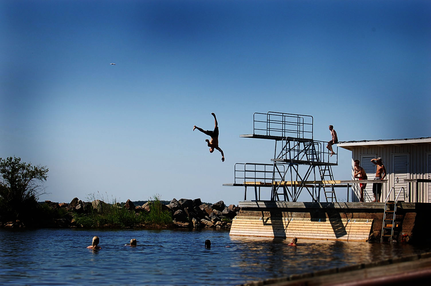 [DSC_0037+(kopia).jpg]