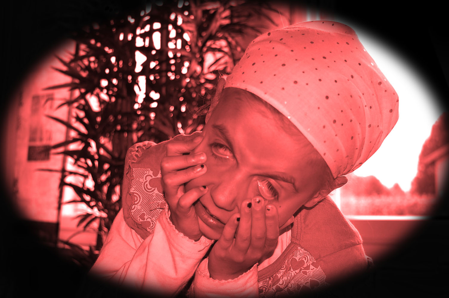 [DSC_0026+(kopia).jpg]