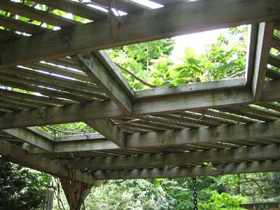 [062709_ceiling.jpg]