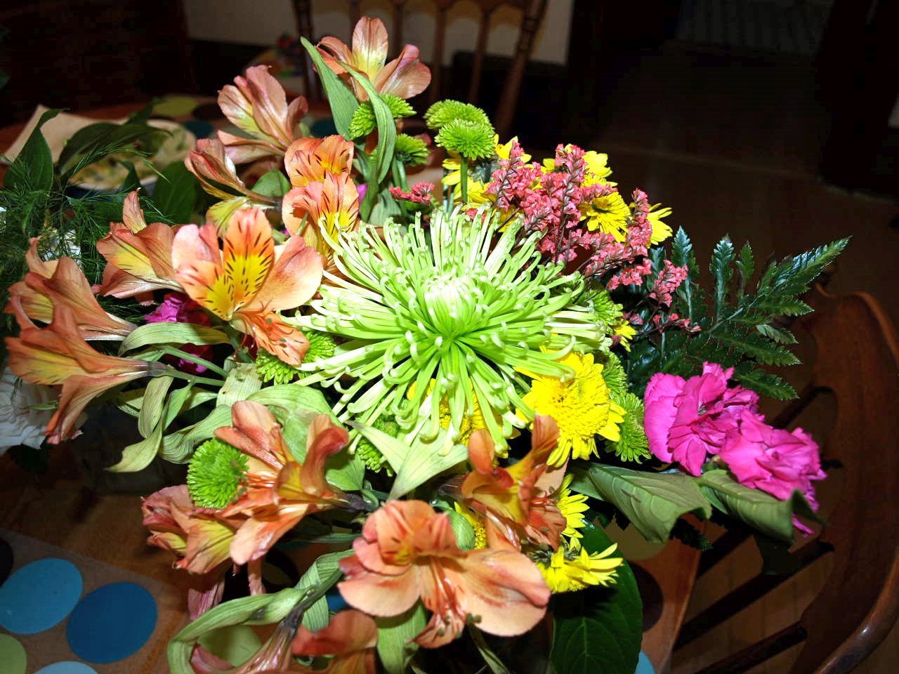 [P7224170.JPG]