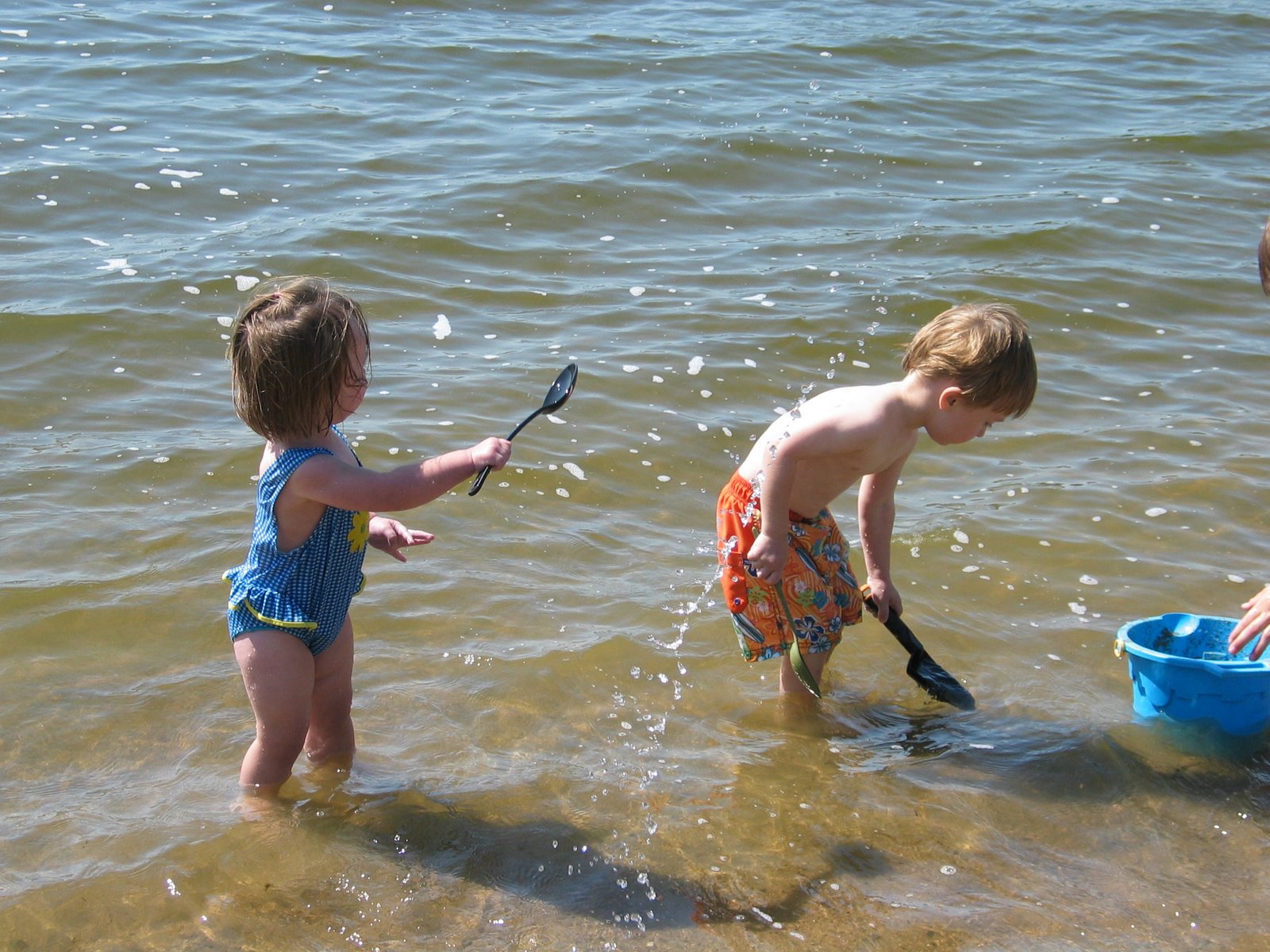 [IMG_3865.JPG]