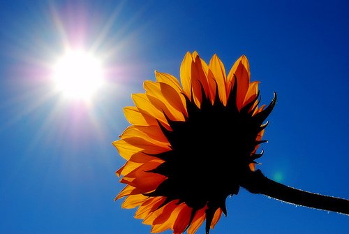 Sun