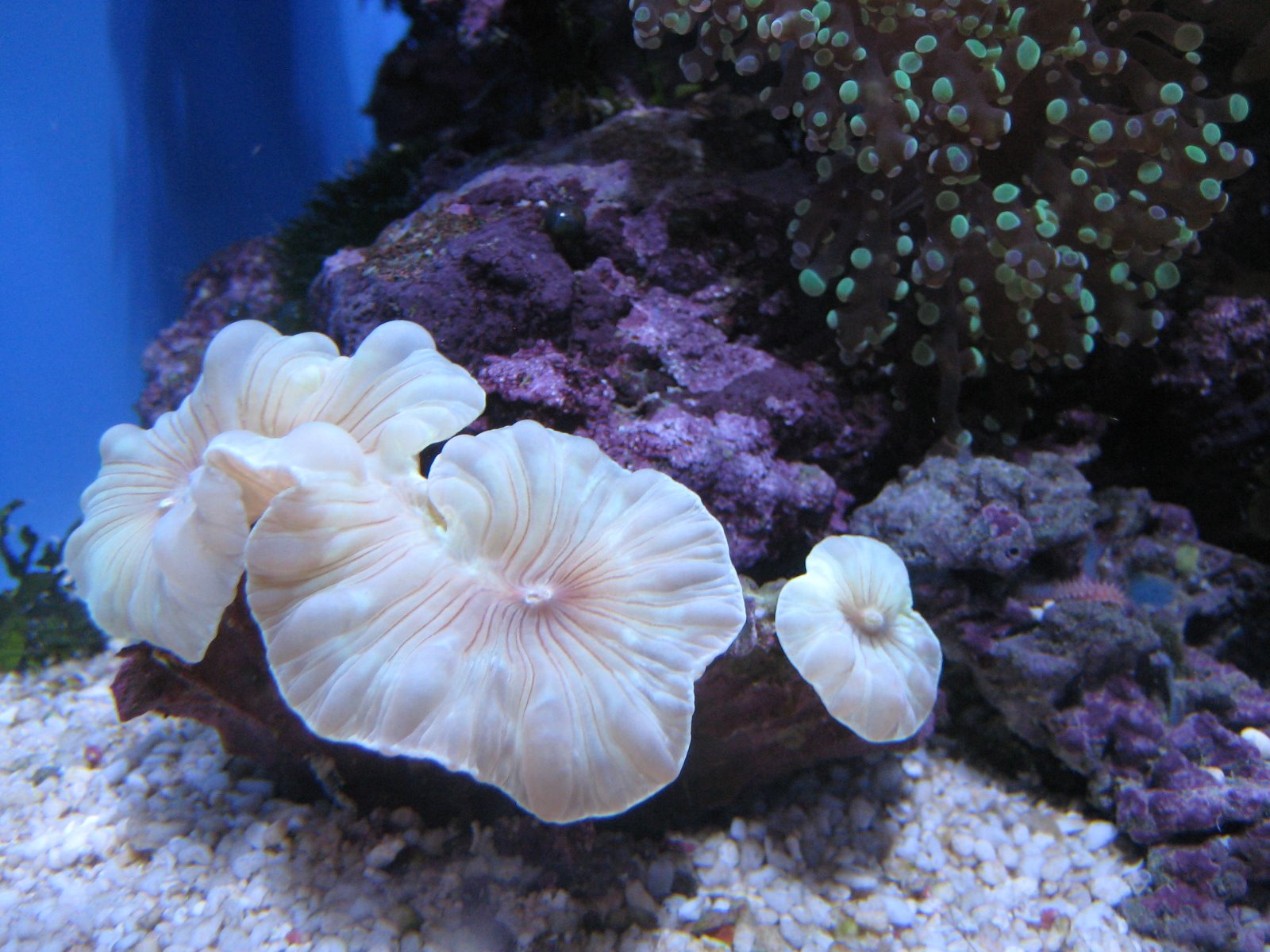 [IMG_2475.JPG]