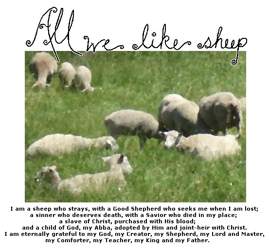 all we like sheep