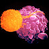 Como Evitar a Formação de Células Cancerosas